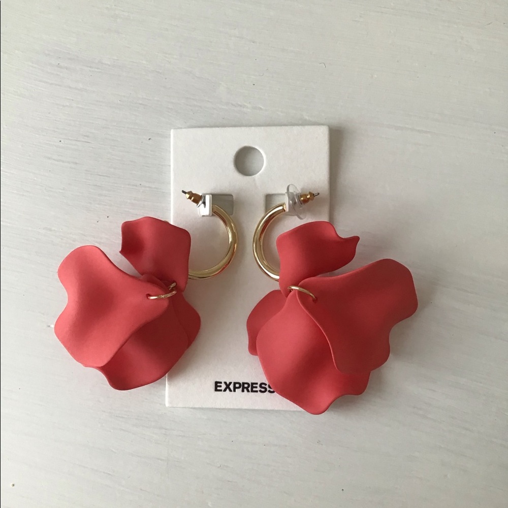 Express Earrings